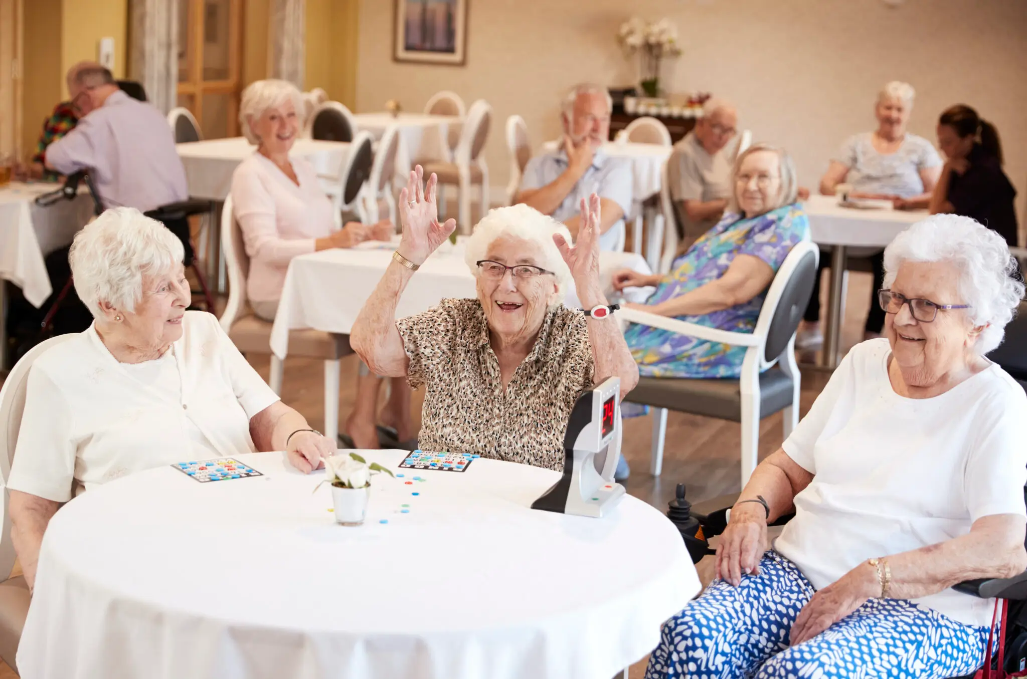 Social & Recreational Programs